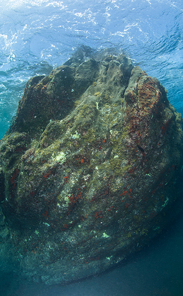 Centre de plongée La Palma 