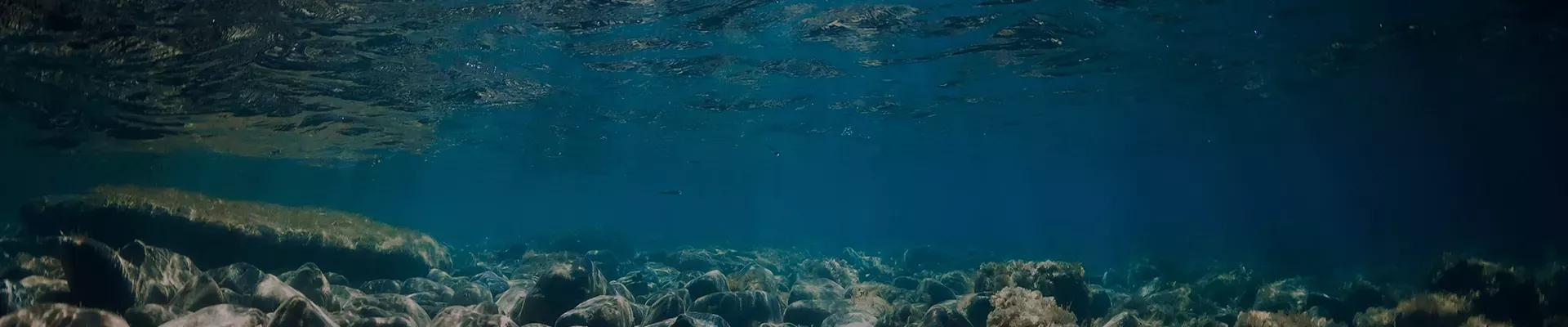 Black Sand Diving La Palma